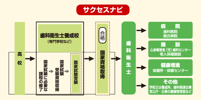 歯科衛生士　サクセスナビ