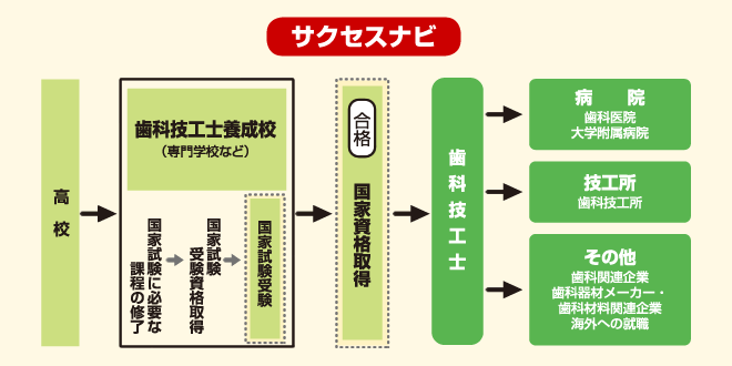 歯科技工士　サクセスナビ