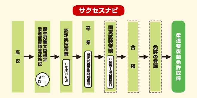 柔道整復師　サクセスナビ