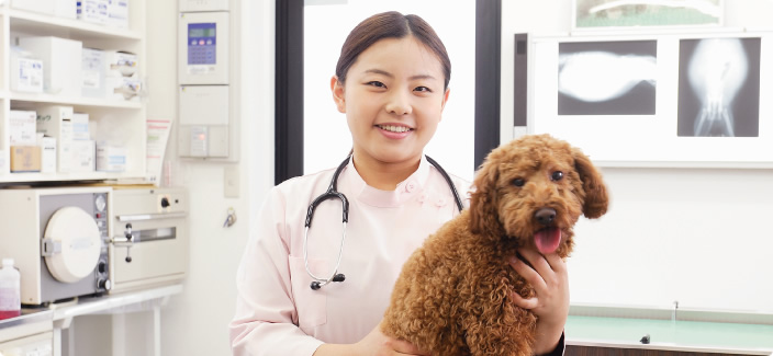 トップ 100+ 動物 看護 師 仕事 壁紙HDのすべて