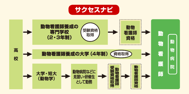 動物看護師　サクセスナビ