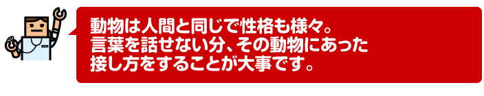 動物は人間と同じで性格も様々。言葉を話せない分、その動物にあった接し方をすることが大事です。