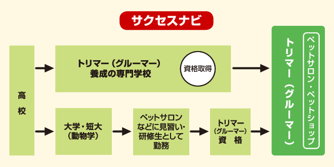 トリマー　サクセスナビ