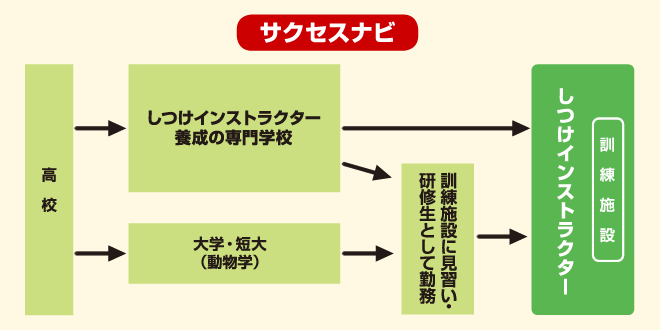 しつけインストラクター　サクセスナビ