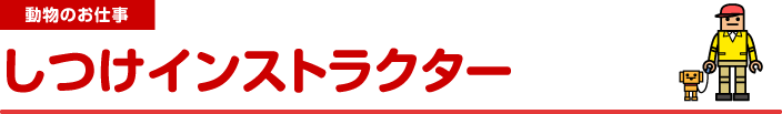 動物のお仕事　しつけインストラクター