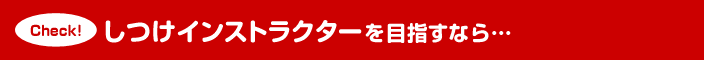 しつけインストラクターを目指すなら…