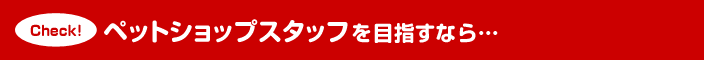 ペットショップスタッフを目指すなら…