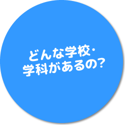 どんな学校・学科があるの？